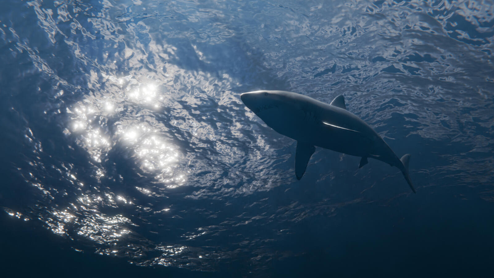 Done following a tutorial, test of fake light-water interactions. Made in Blender.