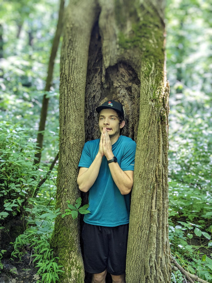 The trees speak Vietnamese