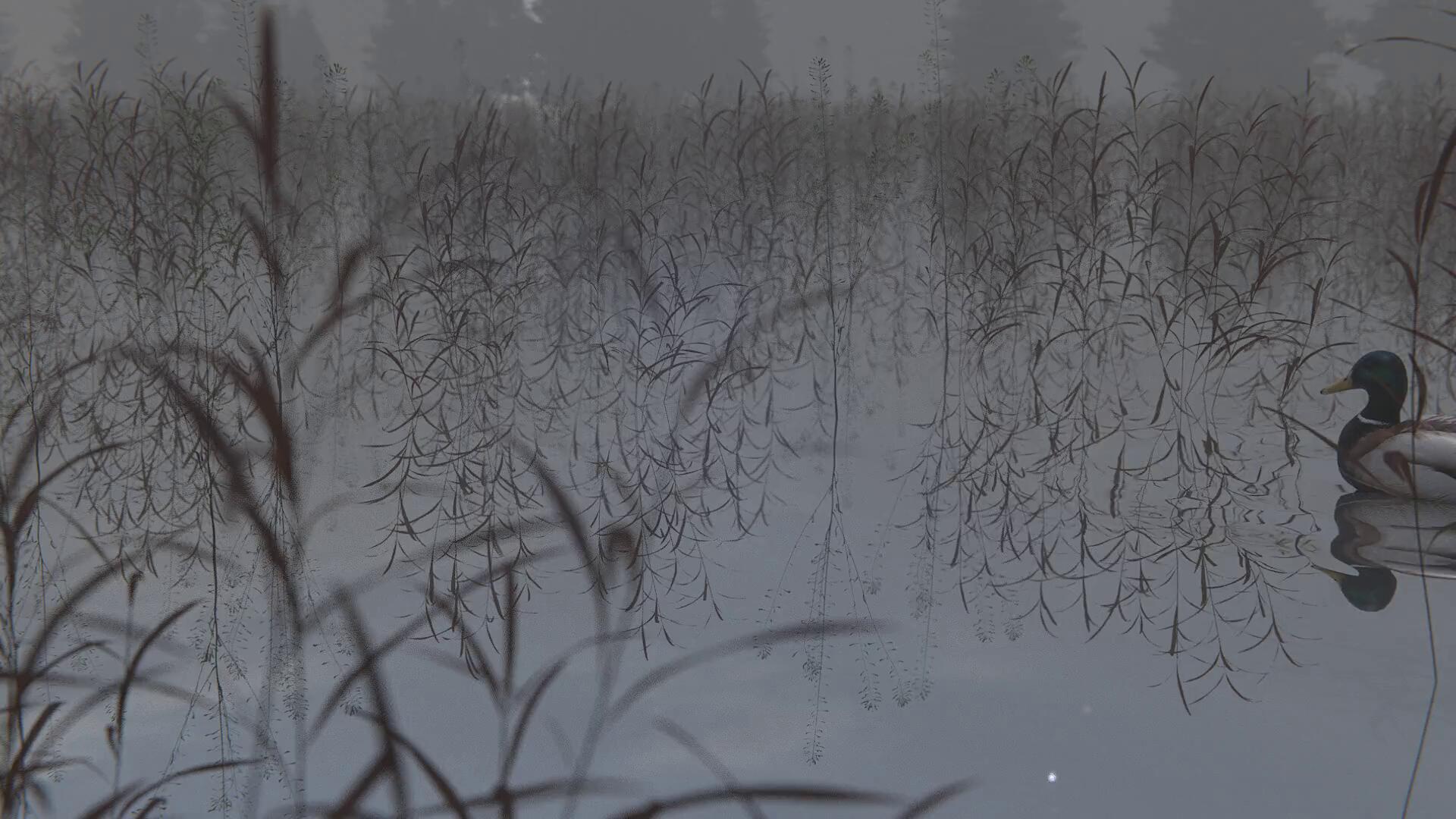 School project. Made in Blender.